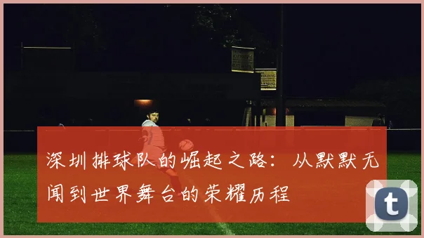 深圳排球队的崛起之路：从默默无闻到世界舞台的荣耀历程