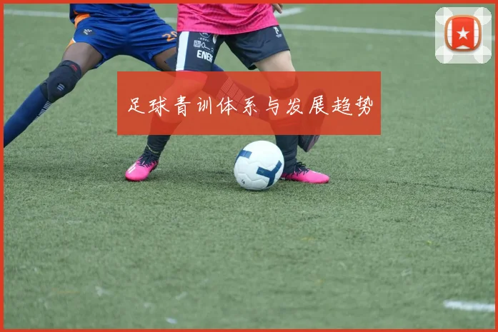 足球青训体系与发展趋势
