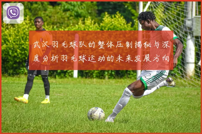 武汉羽毛球队的整体压制揭秘与深度分析羽毛球运动的未来发展方向